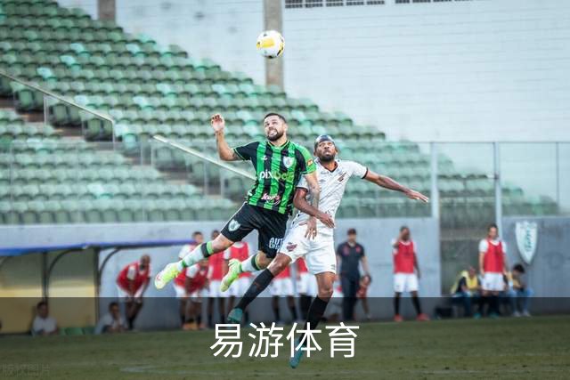 易游体育公司简介